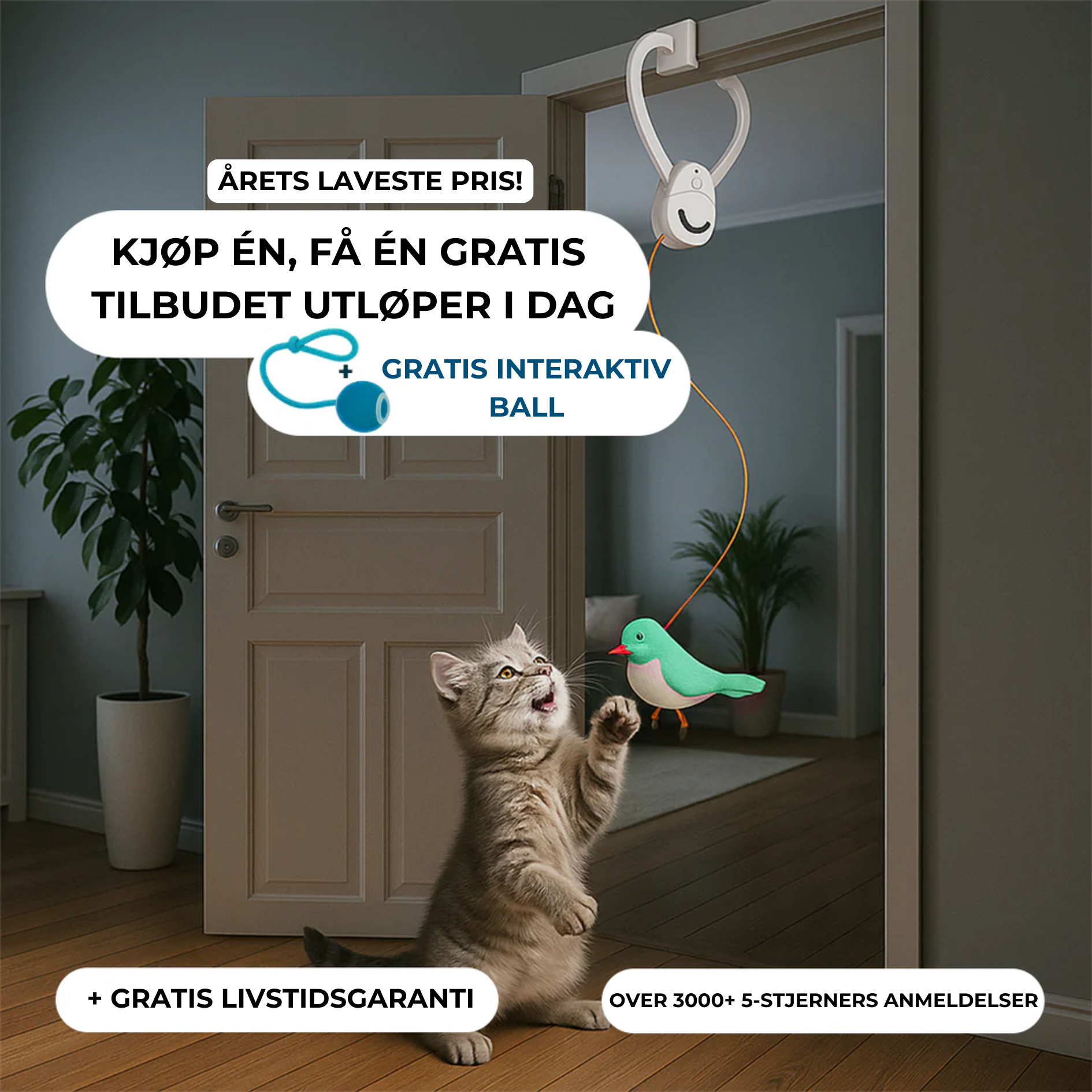 Løs kattens kjedsomhet på noen sekunder